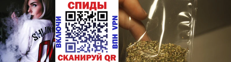 OMG ONION Чаплыгин БУТИРАТ BDO 33%