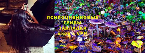 apvp Алзамай