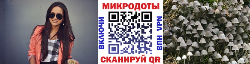 наркотики  Чаплыгин  Галлюциногенные грибы Cubensis 